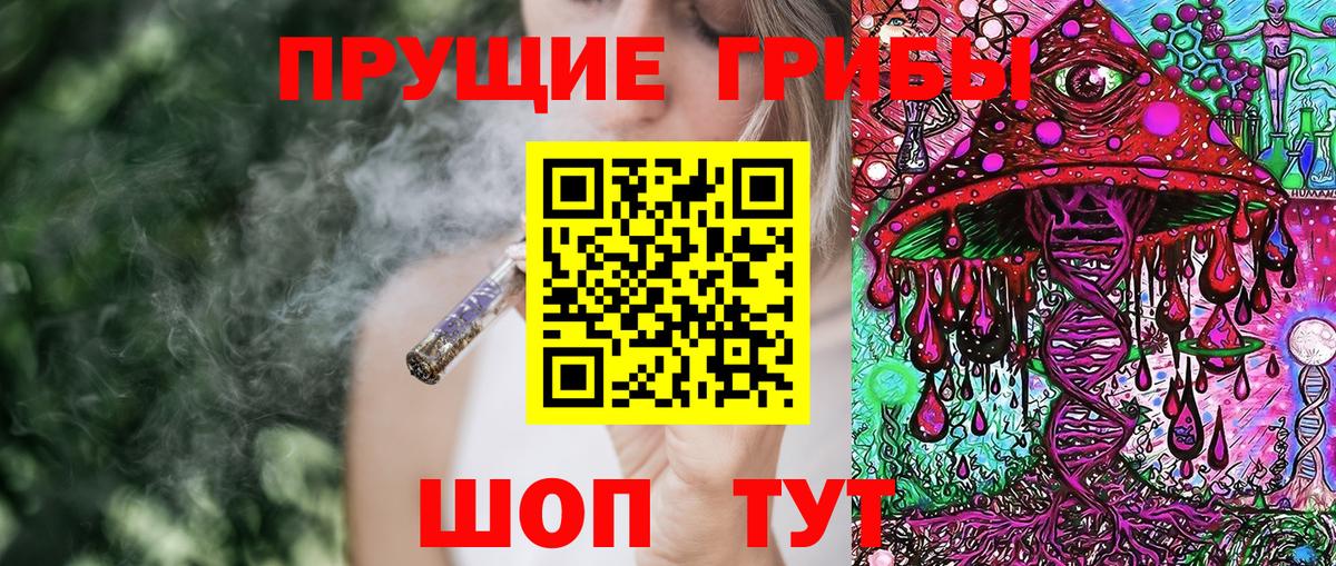 Галлюциногенные грибы Psilocybine cubensis Великий Новгород